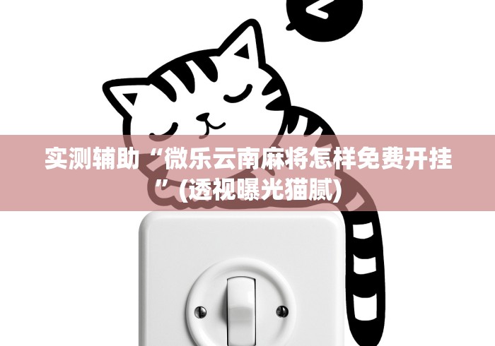 实测辅助“微乐云南麻将怎样免费开挂”(透视曝光猫腻)