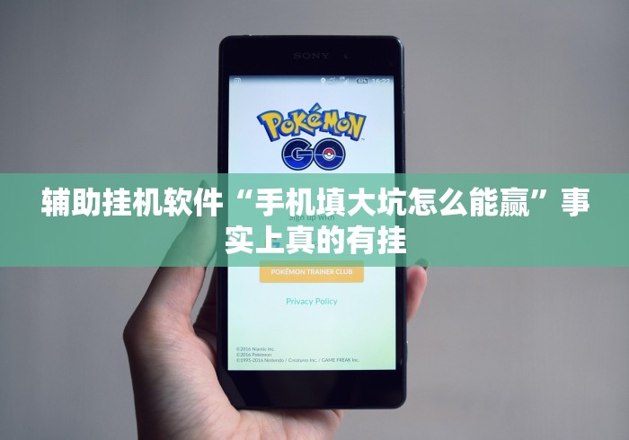 辅助挂机软件“手机填大坑怎么能赢”事实上真的有挂