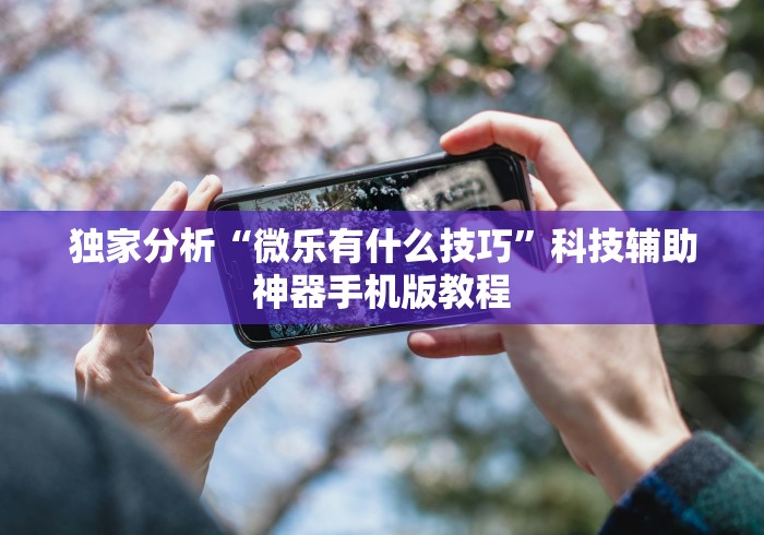 独家分析“微乐有什么技巧”科技辅助神器手机版教程 独家分析“微乐有什么技巧”科技辅助神器手机版教程