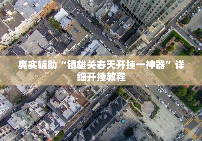 真实辅助“镇雄关春天开挂一神器”详细开挂教程