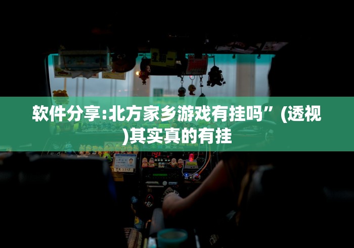 软件分享:北方家乡游戏有挂吗”(透视)其实真的有挂