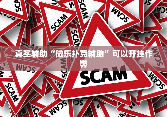 真实辅助“微乐扑克辅助”可以开挂作弊