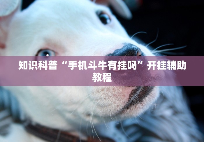 知识科普“手机斗牛有挂吗”开挂辅助教程