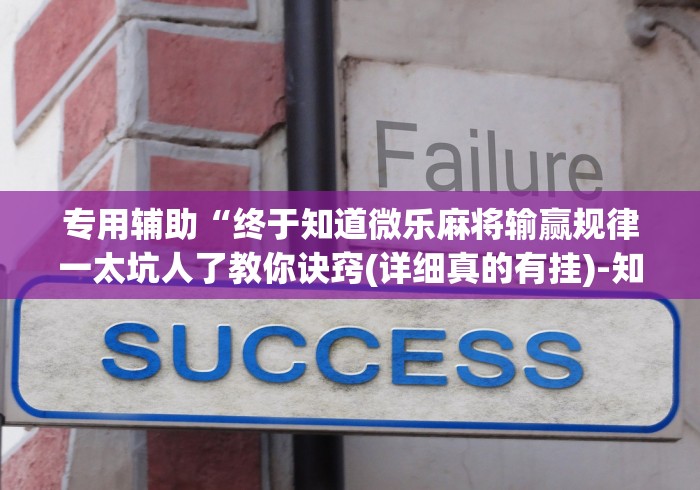 查到实测辅助“川渝十三水有没有挂”(原来确实是有插件) 