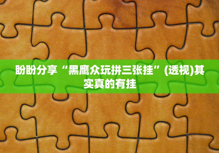 盼盼分享“黑鹰众玩拼三张挂”(透视)其实真的有挂