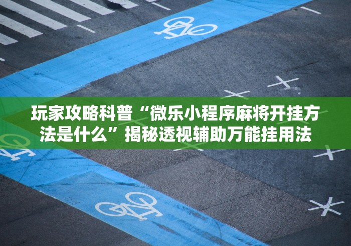 玩家秒懂“微乐麻将上牌规律”其实有开挂插件!