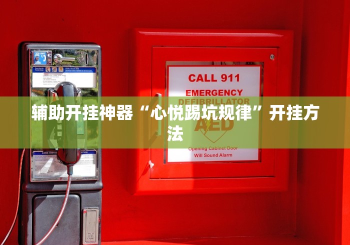 辅助开挂神器“心悦踢坑规律”开挂方法