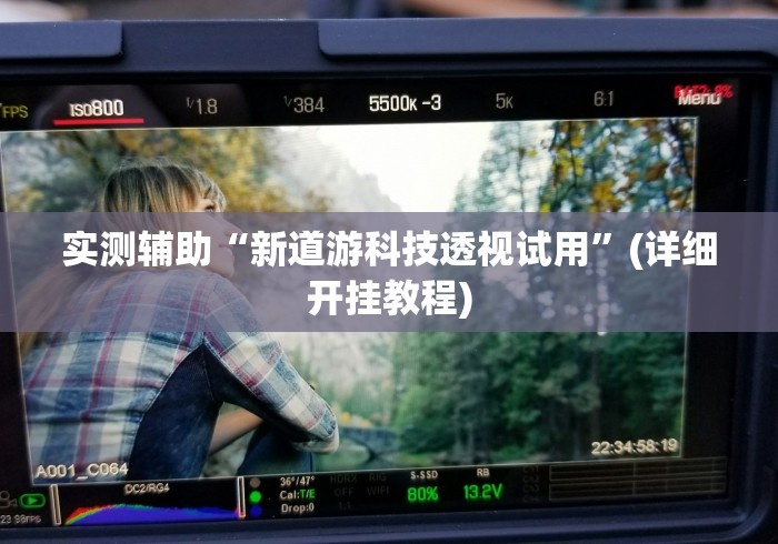 实测辅助“新道游科技透视试用”(详细开挂教程)