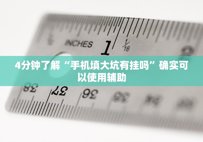 4分钟了解“手机填大坑有挂吗”确实可以使用辅助