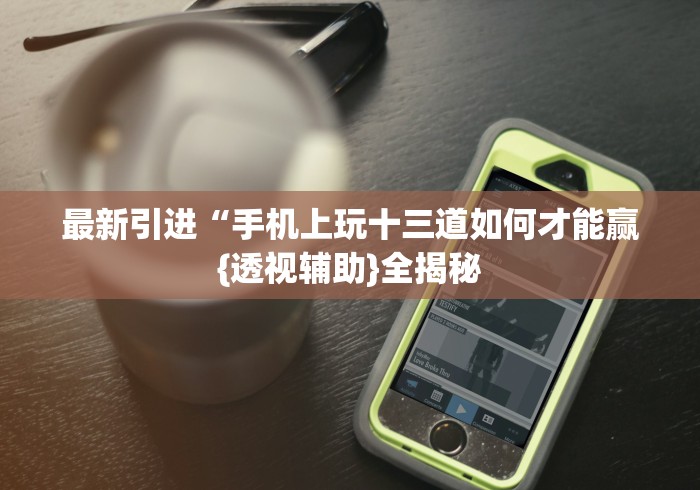 最新引进“手机上玩十三道如何才能赢{透视辅助}全揭秘