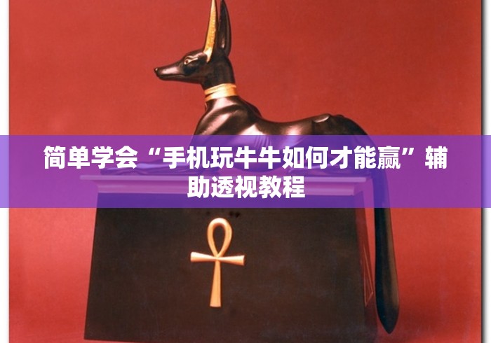 简单学会“手机玩牛牛如何才能赢”辅助透视教程