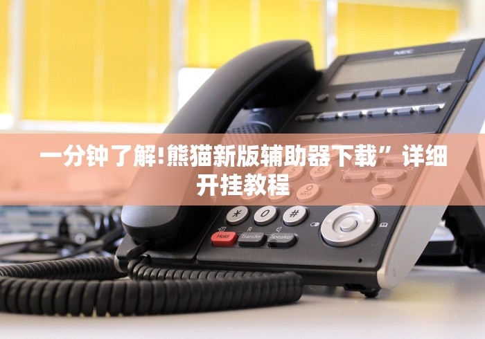 一分钟了解!熊猫新版辅助器下载”详细开挂教程