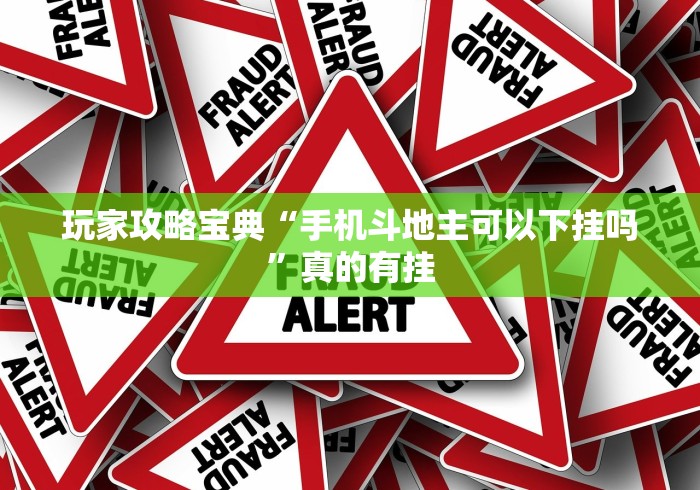 玩家攻略宝典“手机斗地主可以下挂吗”真的有挂