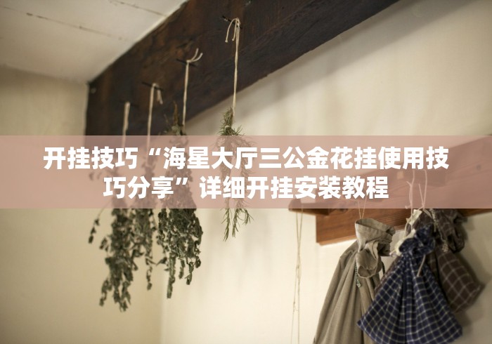 开挂技巧“海星大厅三公金花挂使用技巧分享”详细开挂安装教程