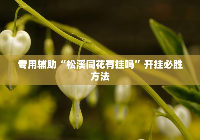 专用辅助“松溪同花有挂吗”开挂必胜方法