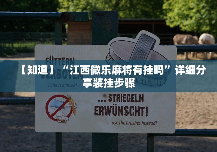 【知道】“江西微乐麻将有挂吗”详细分享装挂步骤