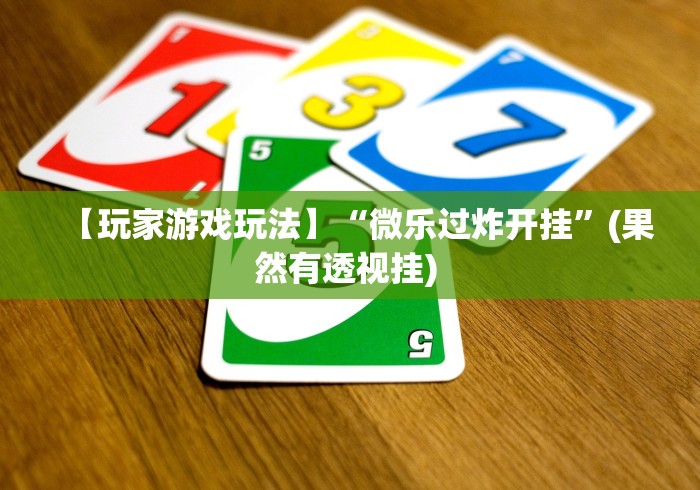 【玩家游戏玩法】“微乐过炸开挂”(果然有透视挂) 