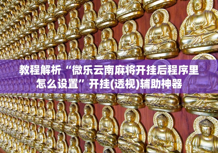 教程解析“微乐云南麻将开挂后程序里怎么设置”开挂(透视)辅助神器