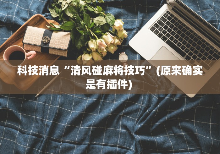 科技消息“清风碰麻将技巧”(原来确实是有插件) 