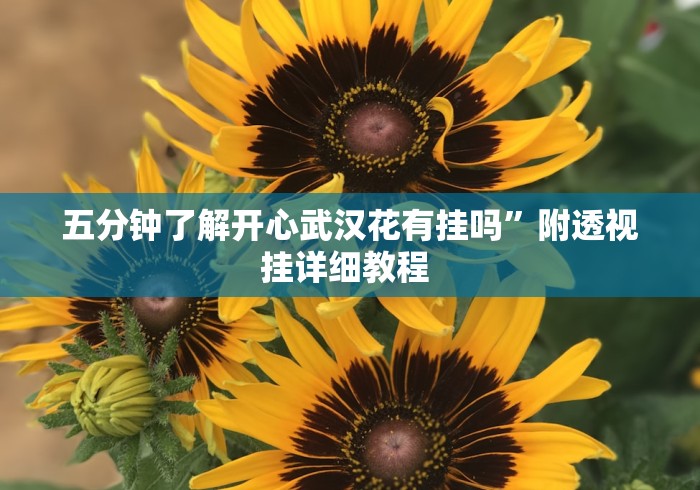 五分钟了解开心武汉花有挂吗”附透视挂详细教程 