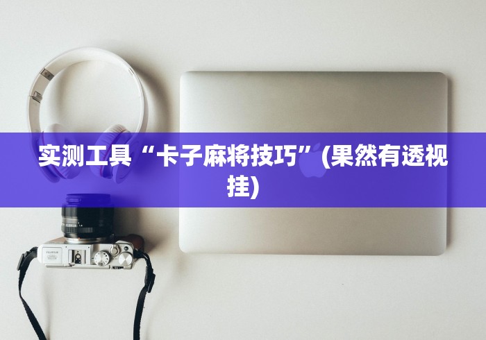实测工具“卡子麻将技巧”(果然有透视挂)