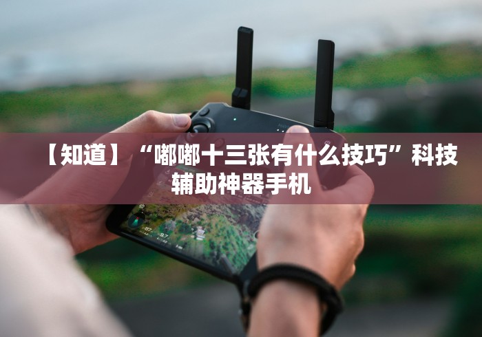 【知道】“嘟嘟十三张有什么技巧”科技辅助神器手机