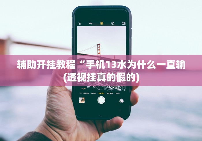 辅助开挂教程“手机13水为什么一直输(透视挂真的假的)