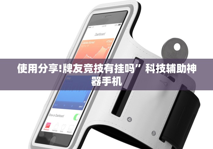 [分享]“微乐填大坑开挂真实可靠”辅助神器插件下载