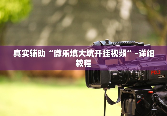 真实辅助“微乐填大坑开挂视频”-详细教程