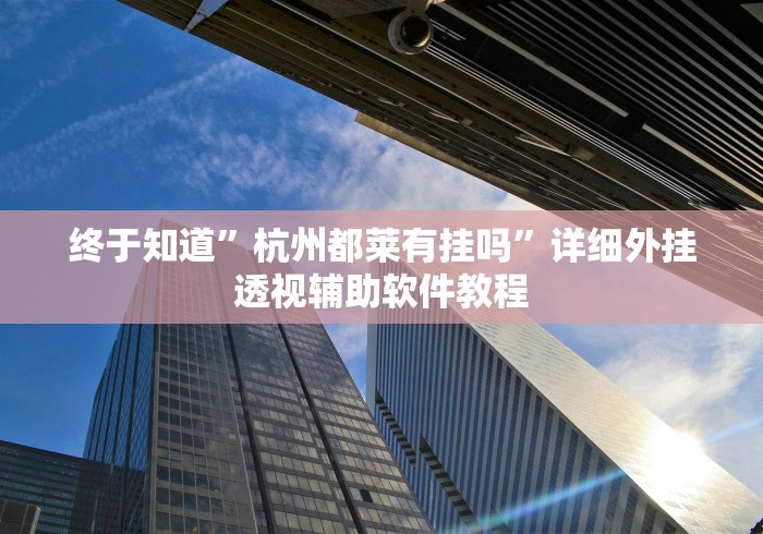 终于知道”杭州都莱有挂吗”详细外挂透视辅助软件教程