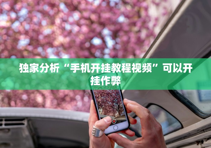 独家分析“手机开挂教程视频”可以开挂作弊