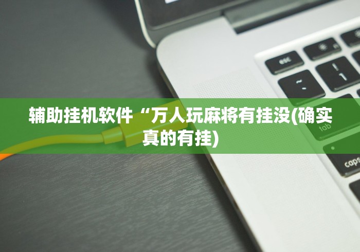 辅助挂机软件“万人玩麻将有挂没(确实真的有挂)