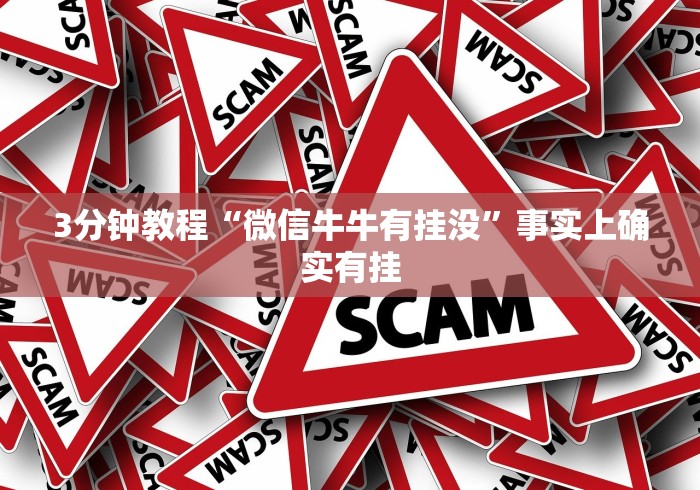 3分钟教程“微信牛牛有挂没”事实上确实有挂