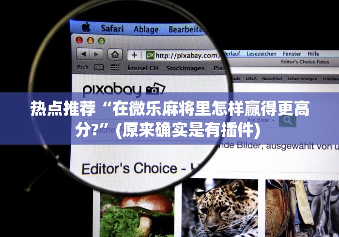 热点推荐“在微乐麻将里怎样赢得更高分?”(原来确实是有插件) 