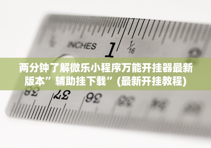 两分钟了解微乐小程序万能开挂器最新版本”辅助挂下载”(最新开挂教程)