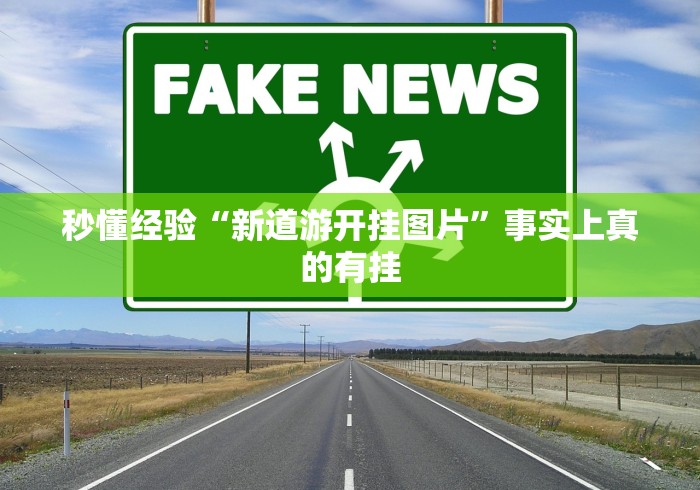 秒懂经验“新道游开挂图片”事实上真的有挂
