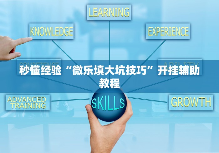 秒懂经验“微乐填大坑技巧”开挂辅助教程