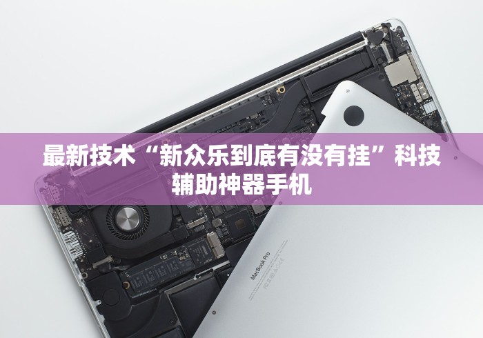 最新技术“新众乐到底有没有挂”科技辅助神器手机