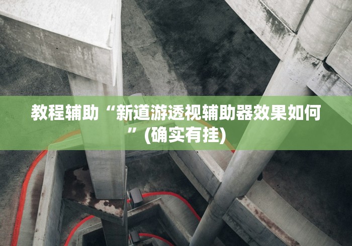 教程辅助“新道游透视辅助器效果如何”(确实有挂)