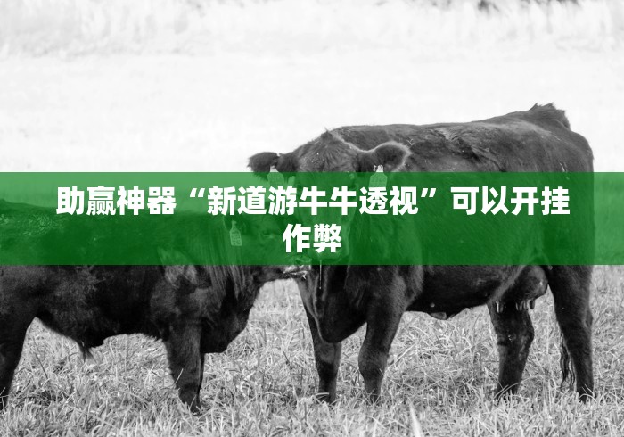 助赢神器“新道游牛牛透视”可以开挂作弊