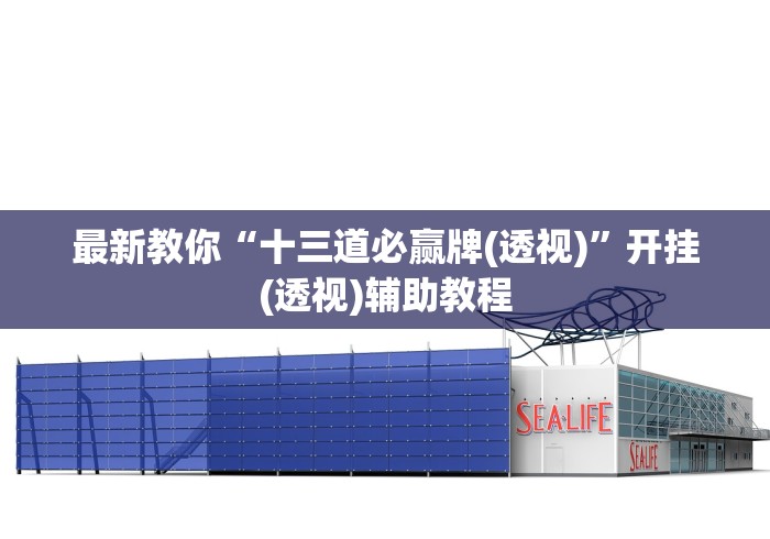 最新教你“十三道必赢牌(透视)”开挂(透视)辅助教程