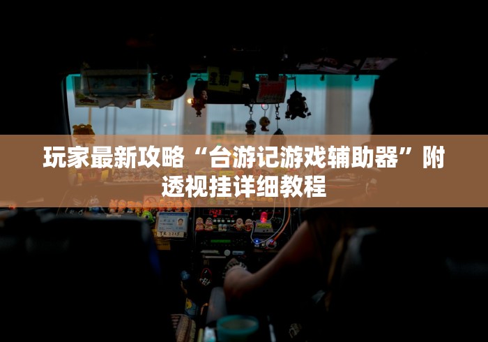 玩家最新攻略“台游记游戏辅助器”附透视挂详细教程
