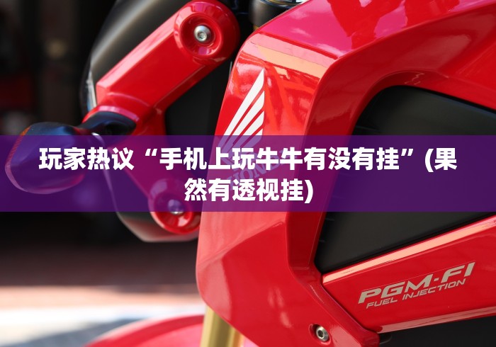 玩家热议“手机上玩牛牛有没有挂”(果然有透视挂)