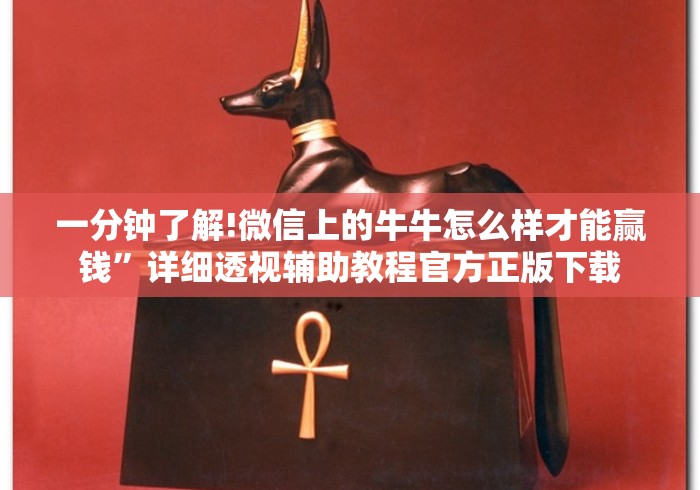 一分钟了解!微信上的牛牛怎么样才能赢钱”详细透视辅助教程官方正版下载