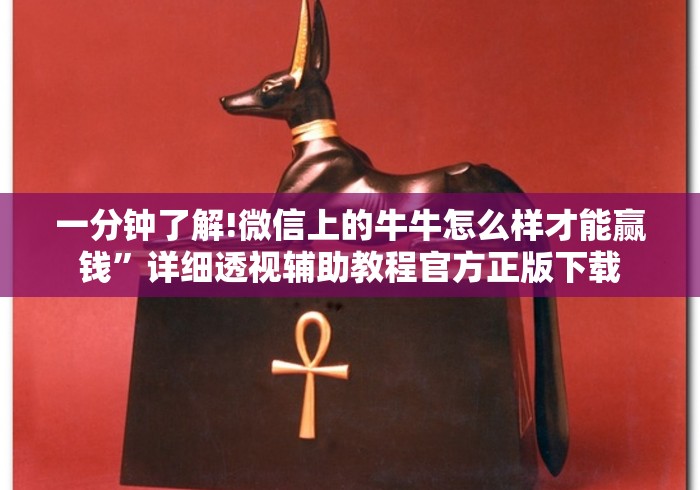 一分钟了解!微信上的牛牛怎么样才能赢钱”详细透视辅助教程官方正版下载
