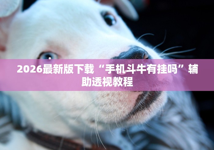 2026最新版下载“手机斗牛有挂吗”辅助透视教程