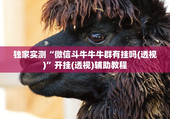 独家实测“微信斗牛牛牛群有挂吗(透视)”开挂(透视)辅助教程