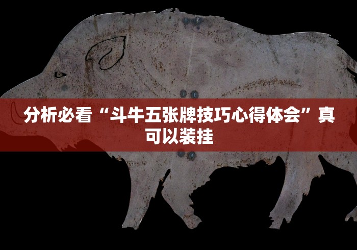 分析必看“斗牛五张牌技巧心得体会”真可以装挂