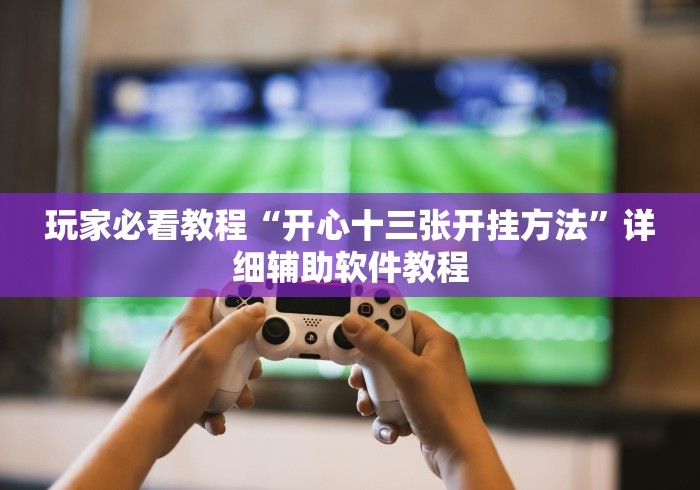 玩家必看教程“开心十三张开挂方法”详细辅助软件教程
