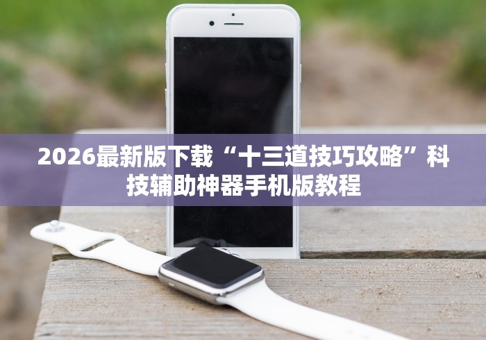 2026最新版下载“十三道技巧攻略”科技辅助神器手机版教程